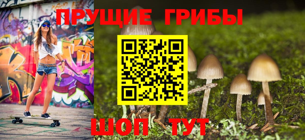 Галлюциногенные грибы прущие грибы Краснокамск